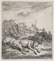 KG 04737
<br/>
Twee jachthonden
<br/>
<em>Dujardin, Karel (1622-1678)</em>